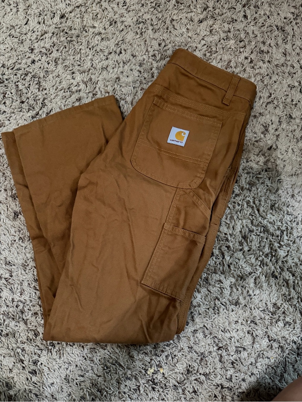 Carhartt Men's Tan Work Cargo Pants
